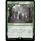エントの寄合の呼集/Assemble the Entmoot《日本語》【LTC】