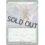 (フルアート)緑葉のレゴラス/Legolas Greenleaf《日本語》【LTC】