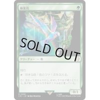 [EX+]極楽鳥/Birds of Paradise《日本語》【LTC】