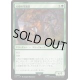 [EX+]大樫の守護者/Great Oak Guardian《日本語》【LTC】