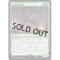 [EX+]果樹園の徘徊者/Orchard Strider《日本語》【LTC】