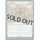 [EX+]圧倒する暴走/Overwhelming Stampede《日本語》【LTC】