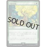 [EX+]不屈の自然/Rampant Growth《日本語》【LTC】