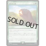 [EX+]蘇生の二粒/Seeds of Renewal《日本語》【LTC】