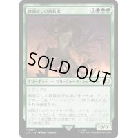[EX+]森滅ぼしの最長老/Woodfall Primus《日本語》【LTC】