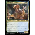 自然の魔法使、ラダガスト/Radagast, Wizard of Wilds《日本語》【LTC】