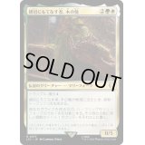 [EX+]親切にもてなす者、木の鬚/Treebeard, Gracious Host《日本語》【LTC】