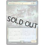 [EX+](フルアート)賢者会議のエレストール/Erestor of the Council《日本語》【LTC】