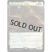 (フルアート)親切にもてなす者、木の鬚/Treebeard, Gracious Host《日本語》【LTC】