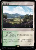 低木林地/Brushland《日本語》【LTC】