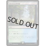 [EX+]溢れかえる果樹園/Flooded Grove《日本語》【LTC】