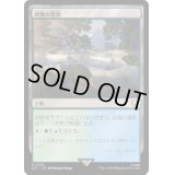 [EX+]回復の温泉/Rejuvenating Springs《日本語》【LTC】