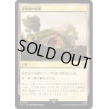 [EX+]砂草原の城塞/Sandsteppe Citadel《日本語》【LTC】