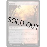 [EX+]燻る湿地/Smoldering Marsh《日本語》【LTC】