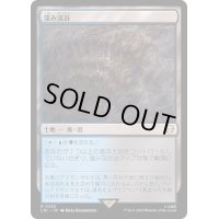 [EX+]窪み渓谷/Sunken Hollow《日本語》【LTC】