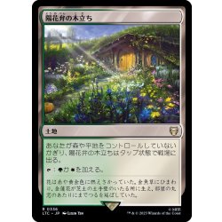 画像1: 陽花弁の木立ち/Sunpetal Grove《日本語》【LTC】