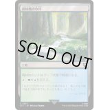 [EX+]森林地の小川/Woodland Stream《日本語》【LTC】
