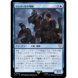 ウンバールの海賊/Corsairs of Umbar《日本語》【LTC】