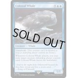 [EX+]壮大な鯨/Colossal Whale《英語》【LTC】