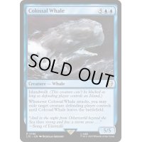 [EX+]壮大な鯨/Colossal Whale《英語》【LTC】
