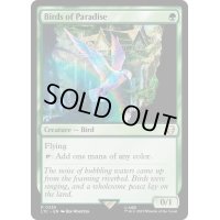 [EX+]極楽鳥/Birds of Paradise《英語》【LTC】