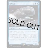 壮大な鯨/Colossal Whale《日本語》【LTC】