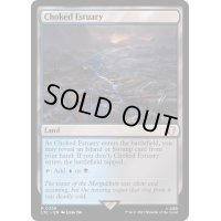 [EX+]詰まった河口/Choked Estuary《英語》【LTC】