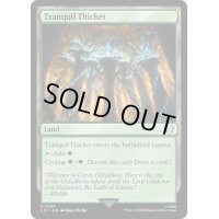 [EX+]平穏な茂み/Tranquil Thicket《英語》【LTC】