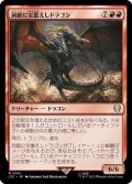 [EX+]洞窟に宝蓄えしドラゴン/Cavern-Hoard Dragon《日本語》【LTC】