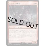 ゴルゴロスの戦獣/Warbeast of Gorgoroth《日本語》【LTR】
