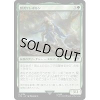 [EX+]賢者ケレボルン/Celeborn the Wise《日本語》【LTR】