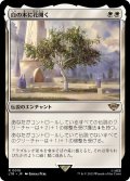 白の木に花開く/Flowering of the White Tree《日本語》【LTR】