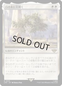 白の木に花開く/Flowering of the White Tree《日本語》【LTR】