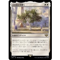 画像1: 白の木に花開く/Flowering of the White Tree《日本語》【LTR】