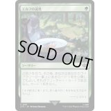 [EX+](FOIL)エルフの遠見/Elven Farsight《日本語》【LTR】