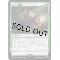 [EX+]エントの憤怒/Ent's Fury《日本語》【LTR】