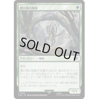 [EX+]闇の森の蜘蛛/Mirkwood Spider《日本語》【LTR】