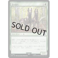 [EX+]茸の番犬/Mushroom Watchdogs《日本語》【LTR】