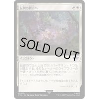 伝説の彼方へ/Lost to Legend《日本語》【LTR】