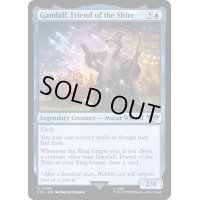 [EX+]ホビット庄の友、ガンダルフ/Gandalf, Friend of the Shire《英語》【LTR】