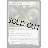[EX+]怒り猛るフオルン/Enraged Huorn《英語》【LTR】