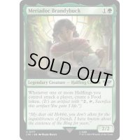 [EX+]メリアドク・ブランディバック/Meriadoc Brandybuck《英語》【LTR】