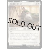 塔の長官、ボロミア/Boromir, Warden of the Tower《日本語》【LTR】