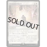 [EX+](FOIL)新たなる紀の始まり/Dawn of a New Age《日本語》【LTR】