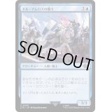 ドル・アムロスの騎士/Knights of Dol Amroth《日本語》【LTR】