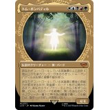 (FOIL)(ショーケース枠)トム・ボンバディル/Tom Bombadil《日本語》【LTR】