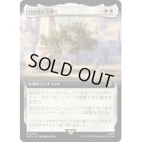 [EX+](FOIL)(フルアート)白の木に花開く/Flowering of the White Tree《日本語》【LTR】