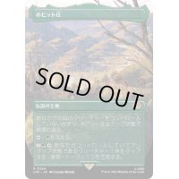 [EX+](フルアート)ホビット庄/The Shire《日本語》【LTR】