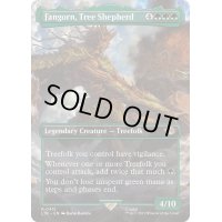 [EX+](フルアート)木の牧人、ファンゴルン/Fangorn, Tree Shepherd《英語》【LTR】
