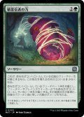 (FOIL)精霊信者の力/Animist's Might《日本語》【MAT】